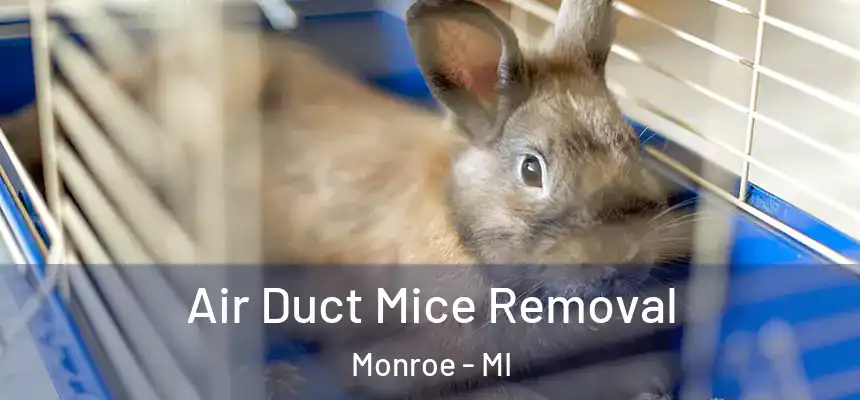 Air Duct Mice Removal Monroe - MI
