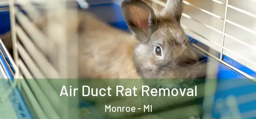  Air Duct Rat Removal Monroe - MI
