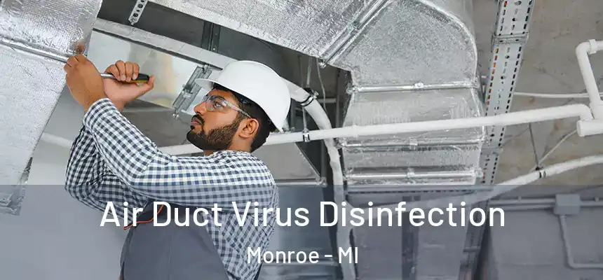  Air Duct Virus Disinfection Monroe - MI