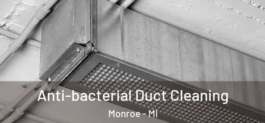  Anti-bacterial Duct Cleaning Monroe - MI