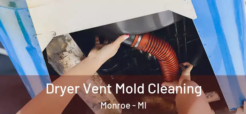 Dryer Vent Mold Cleaning Monroe - MI