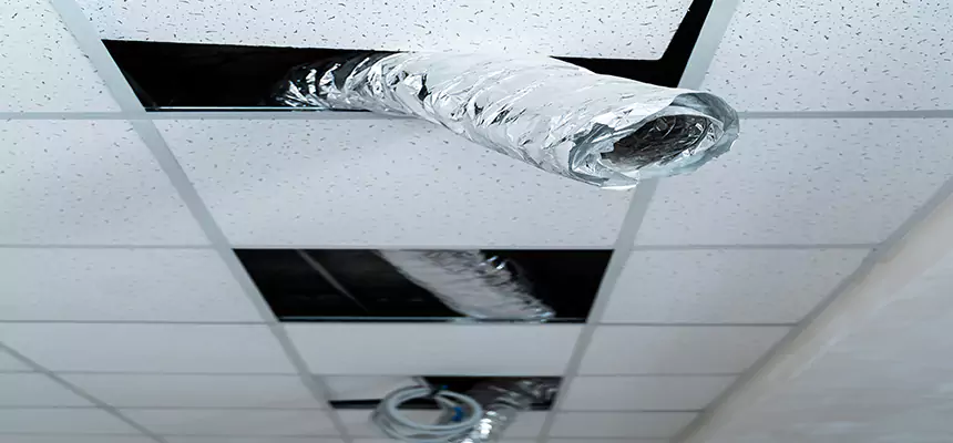 Our Air Duct Pet Hair Removal Services in Monroe, MI