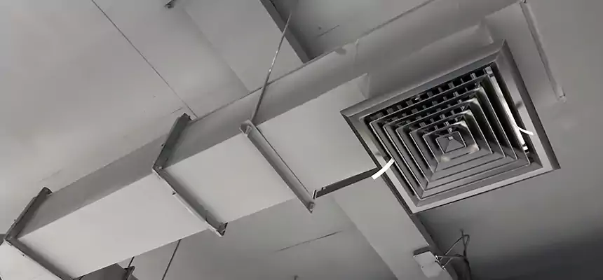 Our Rodent Droppings In Vents Services in Monroe, MI