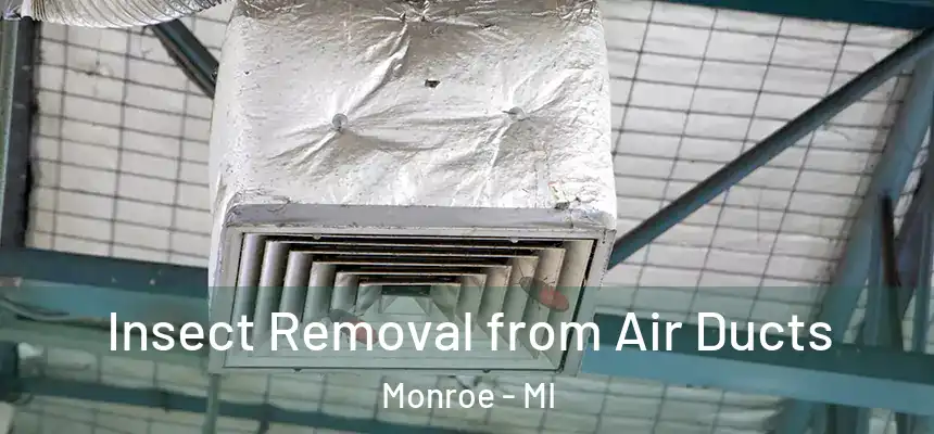 Insect Removal from Air Ducts Monroe - MI