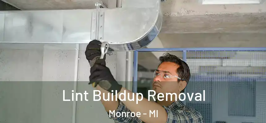 Lint Buildup Removal Monroe - MI