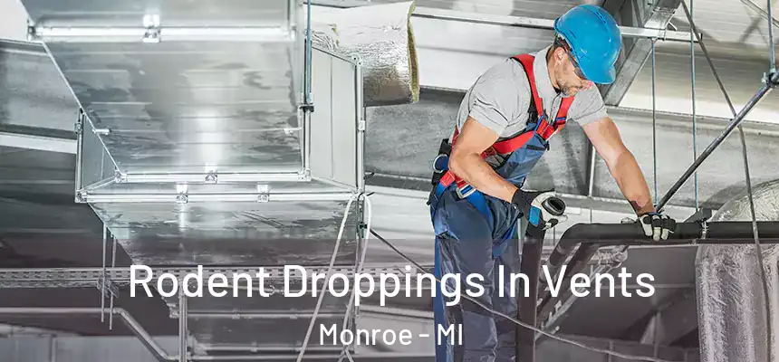  Rodent Droppings In Vents Monroe - MI