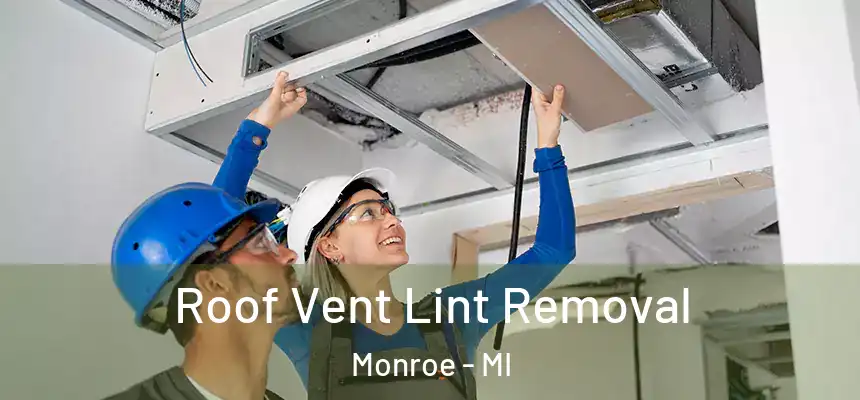 Roof Vent Lint Removal Monroe - MI