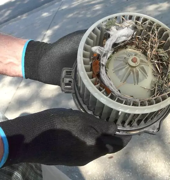 About Air Duct Mice Removal in Monroe, MI