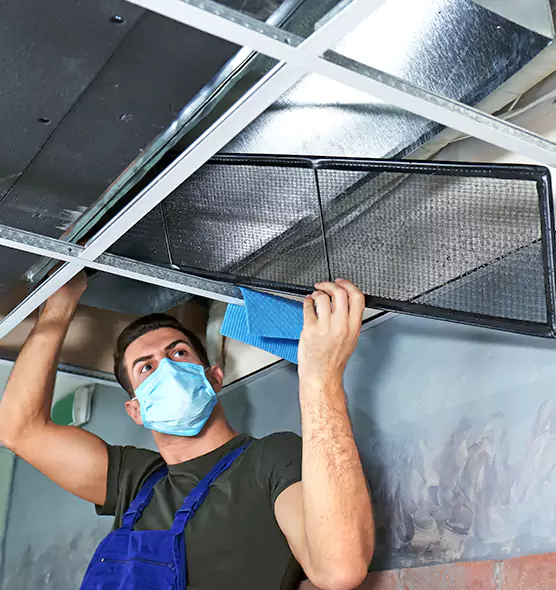 Professional Air Duct Pollen Cleaning in Monroe, MI