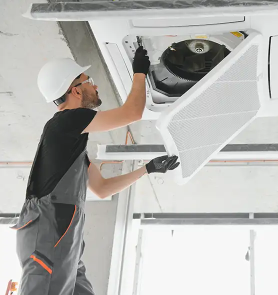 About Air Duct Rodent Removal in Monroe, MI