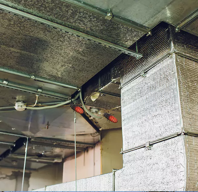 Why Homeowners & Businesses Trust Us in Monroe, MI?