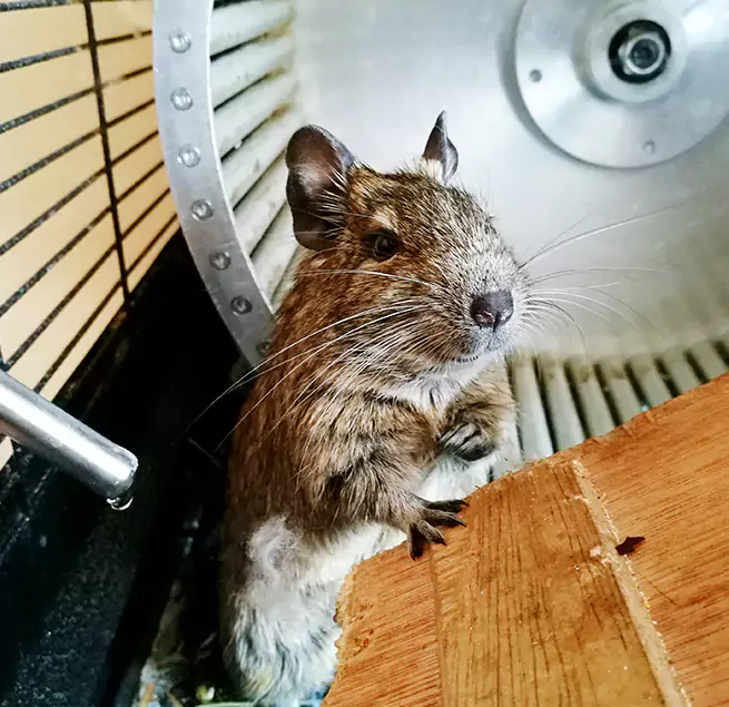 Why Homeowners & Businesses Trust Us Monroe, MI