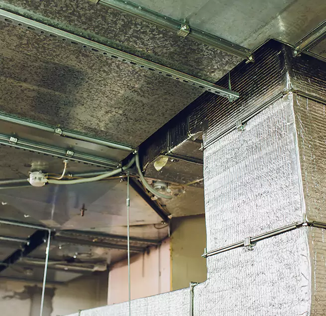 Why Homeowners & Businesses Trust Us in Monroe, MI?