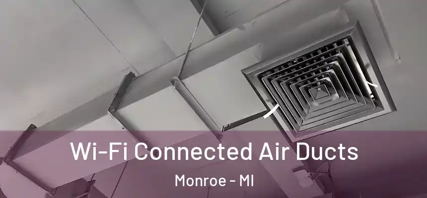 Wi-Fi Connected Air Ducts Monroe - MI